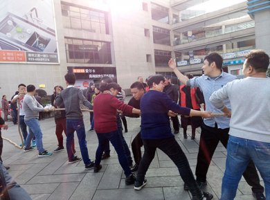 我們的團(tuán)隊—拔河比賽